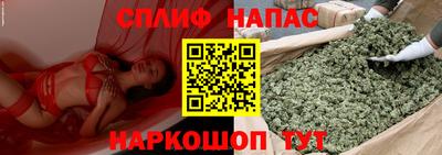 трава Камышлов